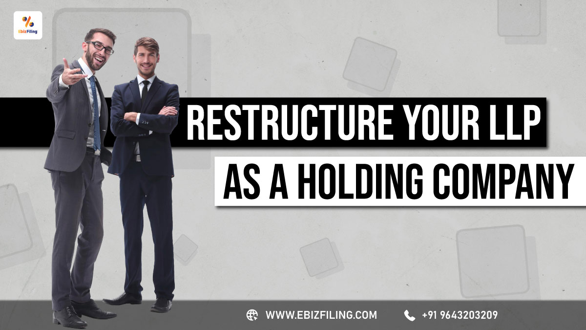 convert an LLP into a holding company