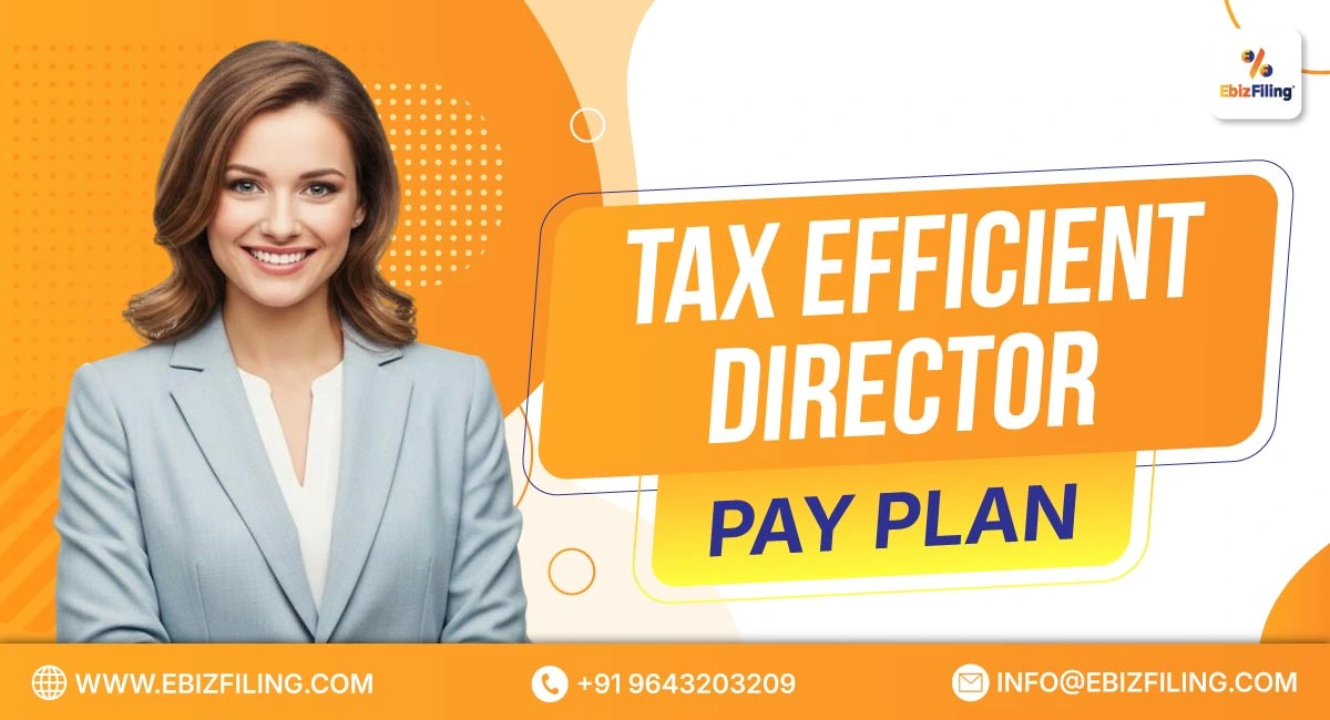 Tax efficient director pay plan for company directors in India