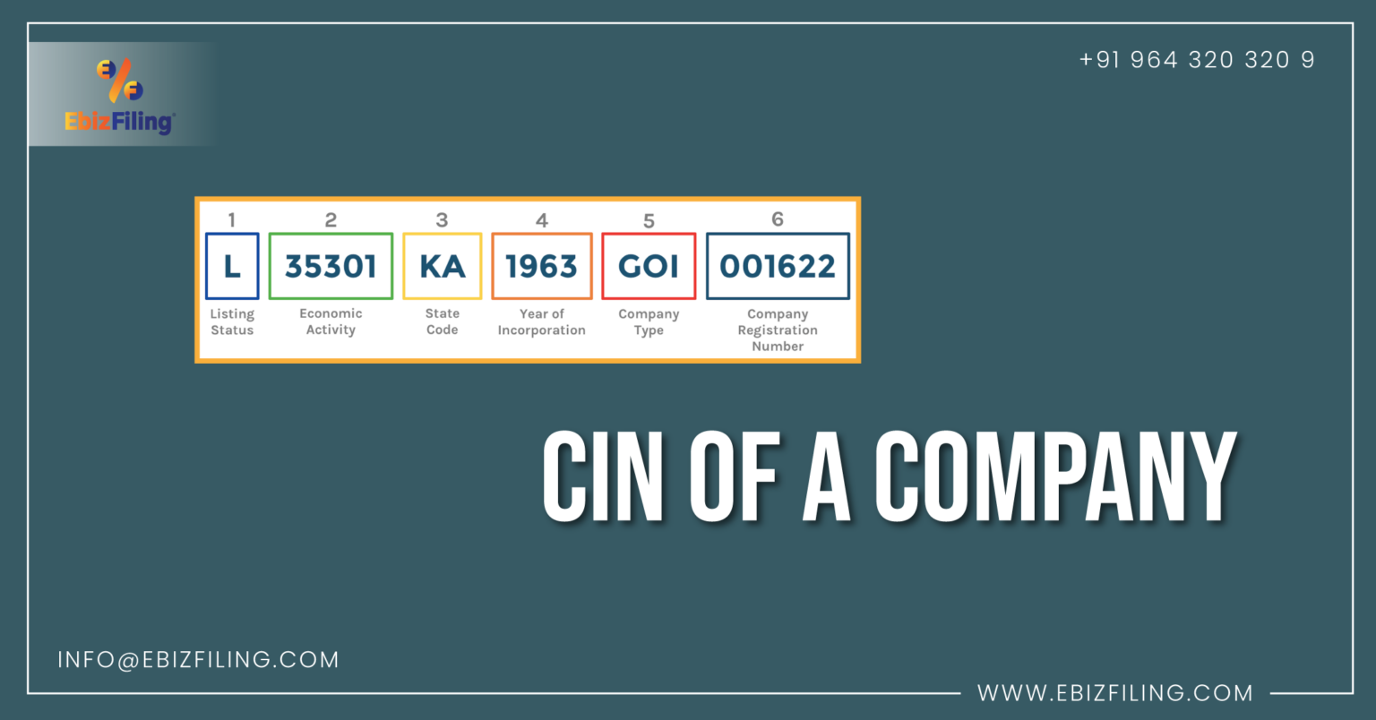 What Is the Corporate Identification Number (CIN) of Company?