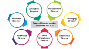 Types of directors, Ebizfiling 