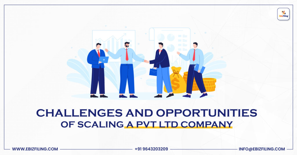 Challenges in scaling a Private Limited Company, Private Limited Company, Expanding a Pvt ltd company, growing a private company, Ebizfiling