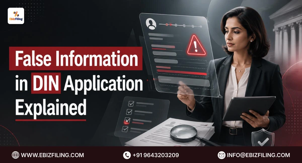 Consequences of providing false information in a DIN application
