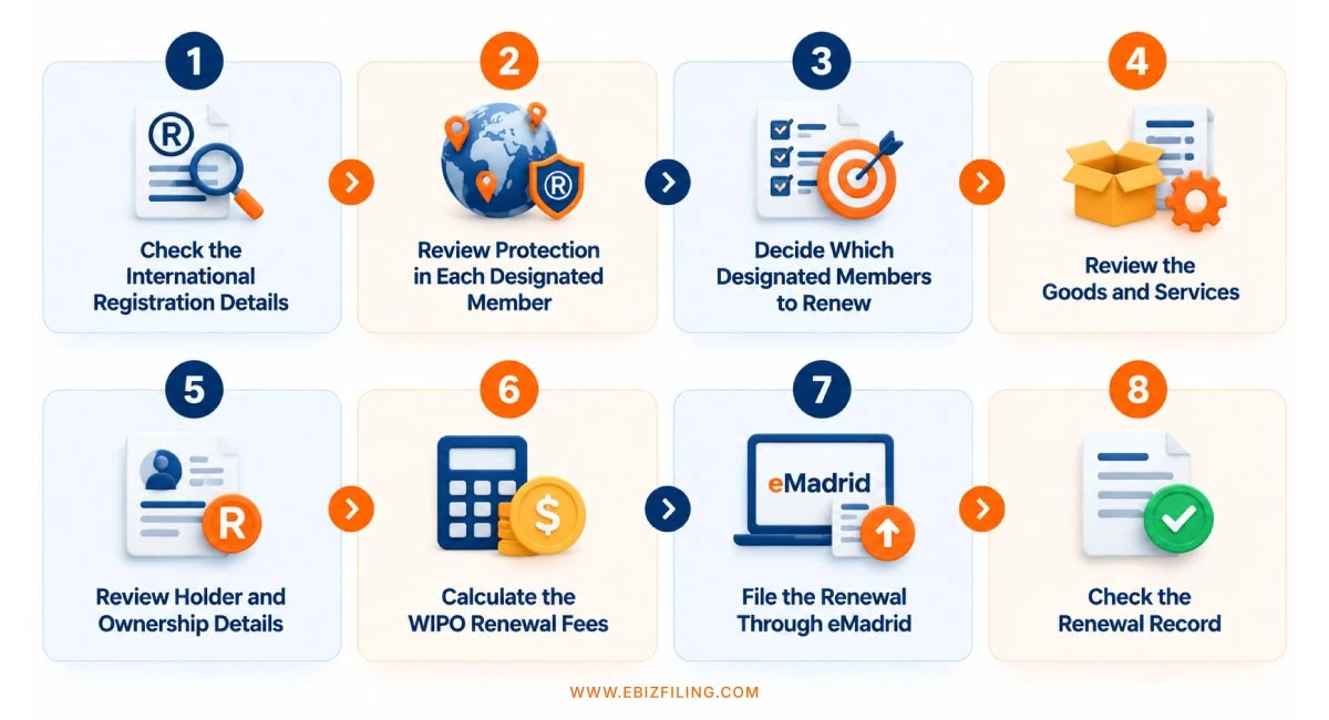 Steps for international trademark renewal under the Madrid System