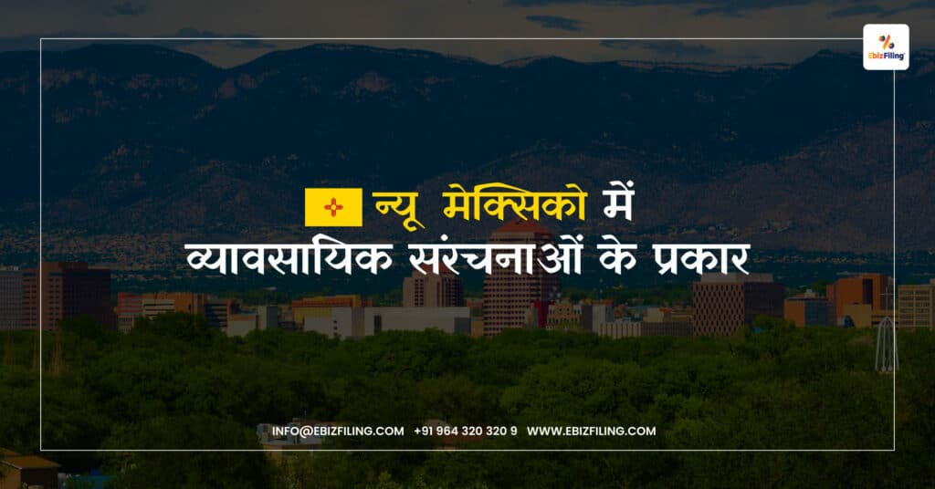 न्यू मैक्सिको में कंपनी, कंपनी पंजीकरण, सीमित देयता कंपनी, स्टॉक कॉर्पोरेशन, EbizFiling