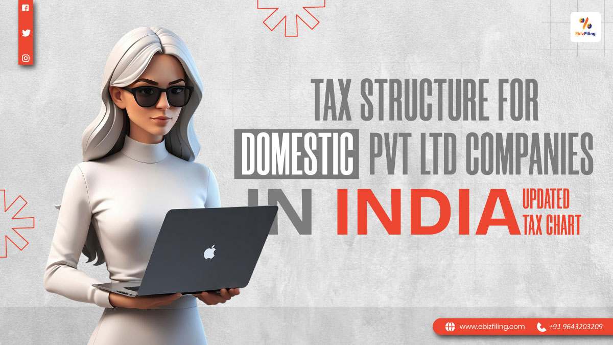Tax chart for domestic Private Limited Company