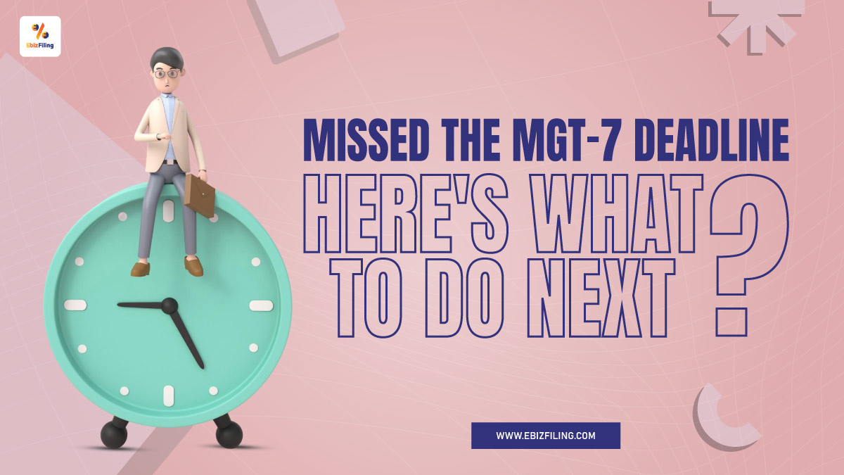 form MGT-7 Filing deadline