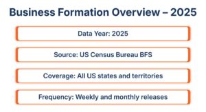 Business-Formation-Statistics-Infographic-1 (1)
