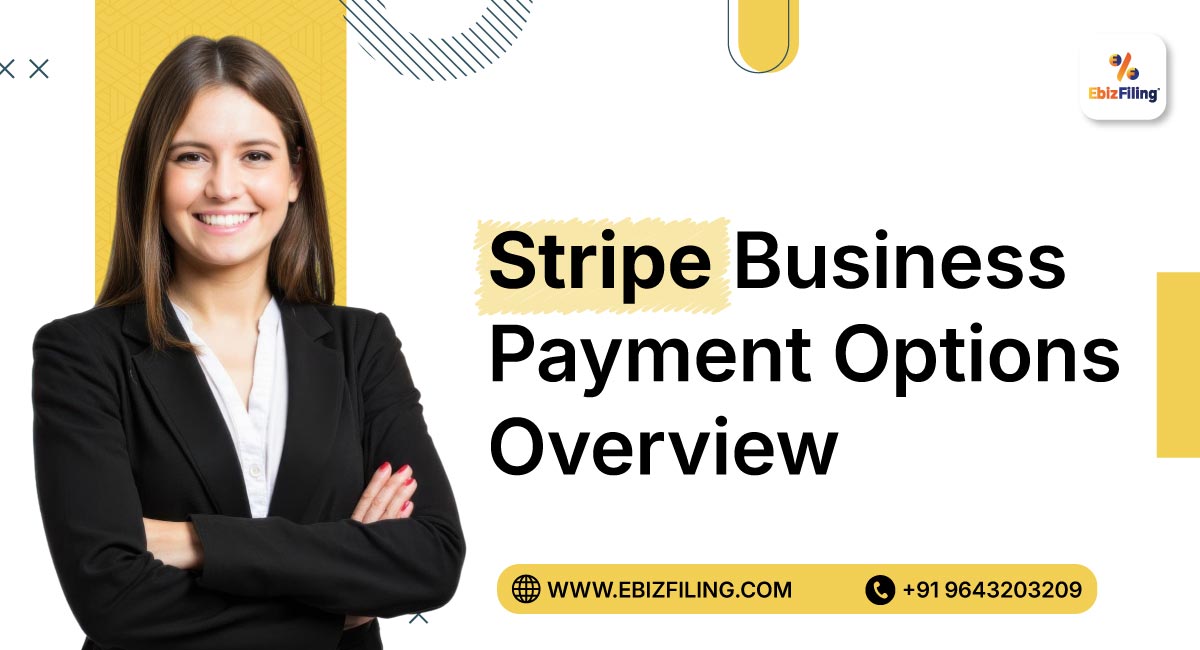 Stripe-Business-Payment-Options-Overview